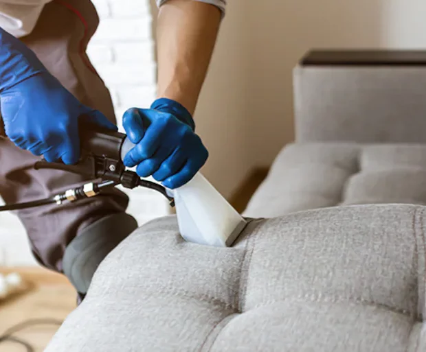 Sofa Set Cleaning Services