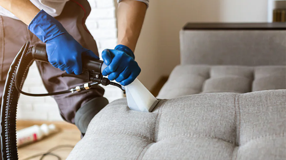 Sofa Set Cleaning Services