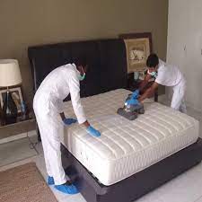 Mattress & Carpet Cleaning Services