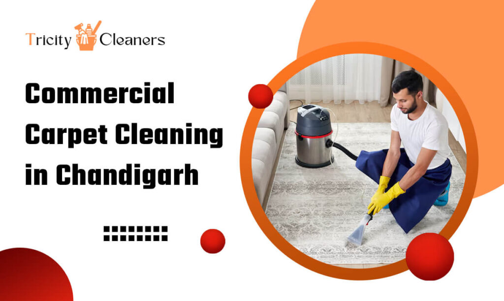 Professional Carpet Cleaning Services in Chandigarh, Mohali