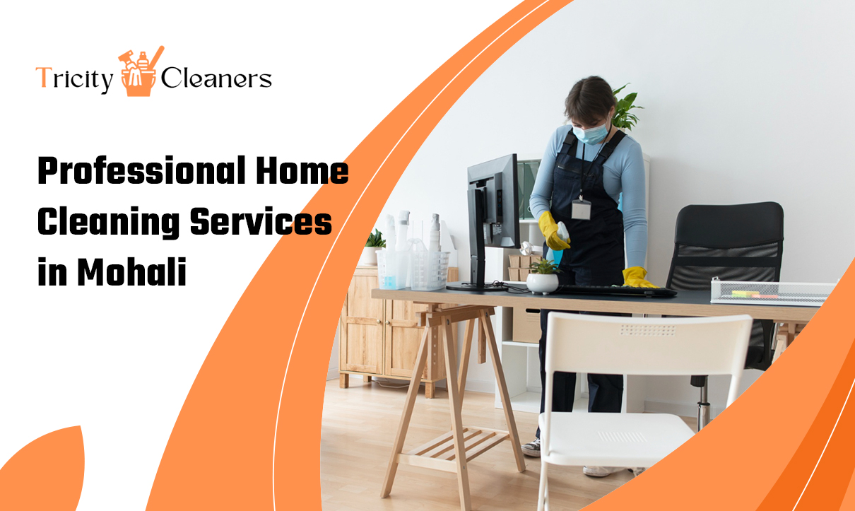 professional home cleaning services in mohali