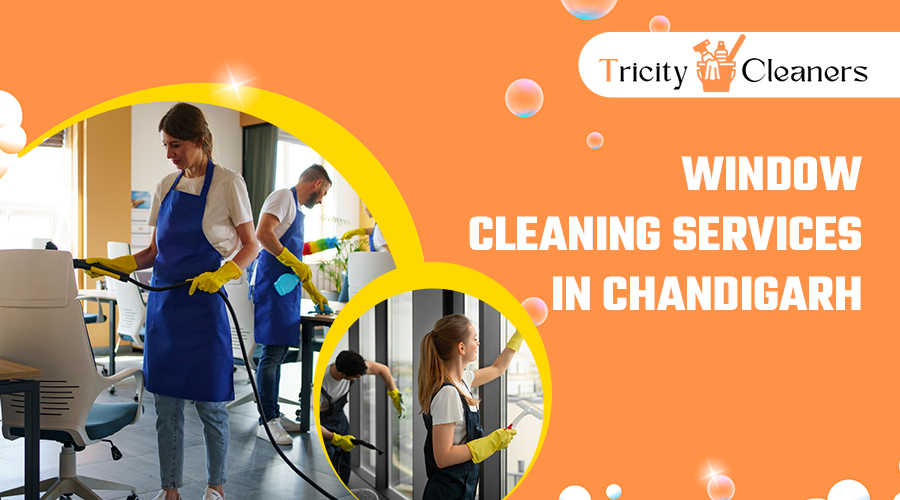 window-cleaning-services-in-Chandigarh