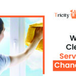 Window Cleaning Services in Chandigarh