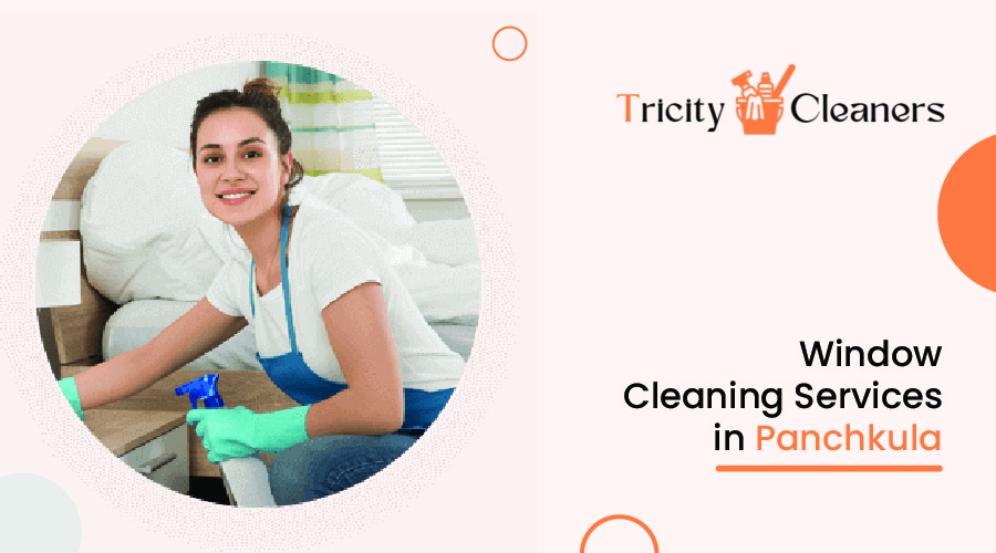 Window Cleaning Services in Panchkula