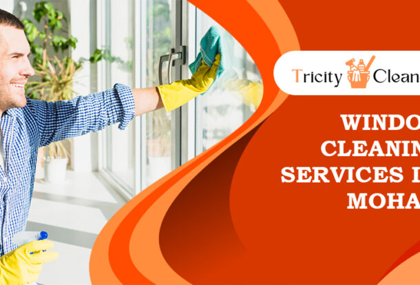 window cleaning services in Mohali