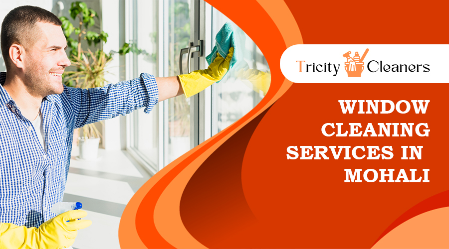 window cleaning services in Mohali