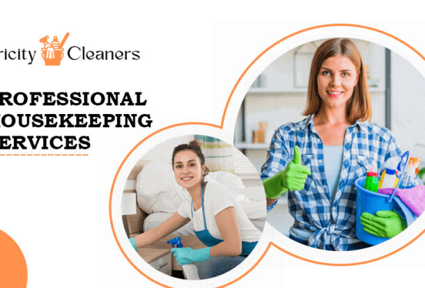 professional housekeeping services