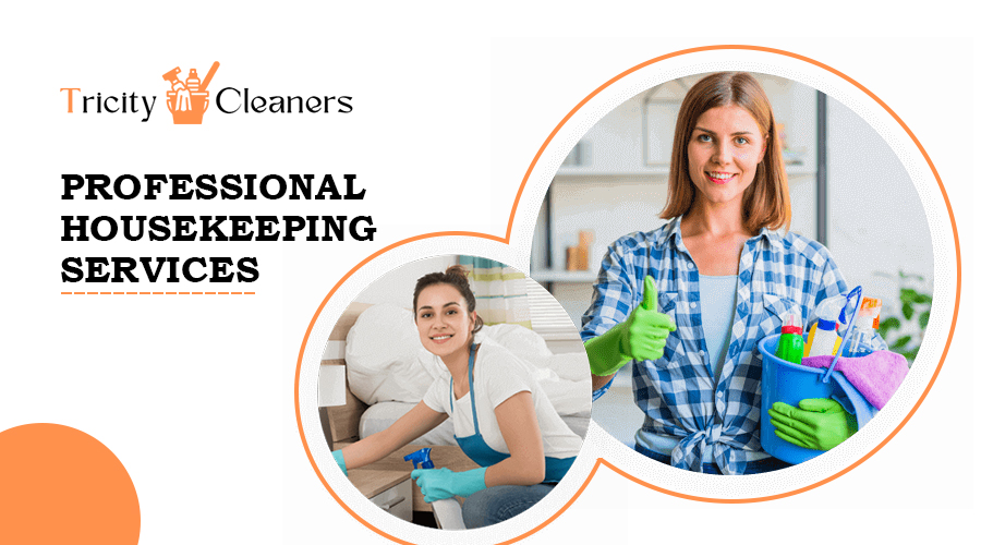 professional housekeeping services