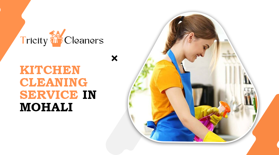 chimney cleaning services chimney cleaning services