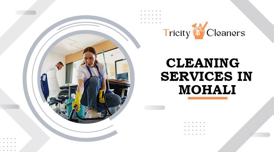 cleaning services in Mohali