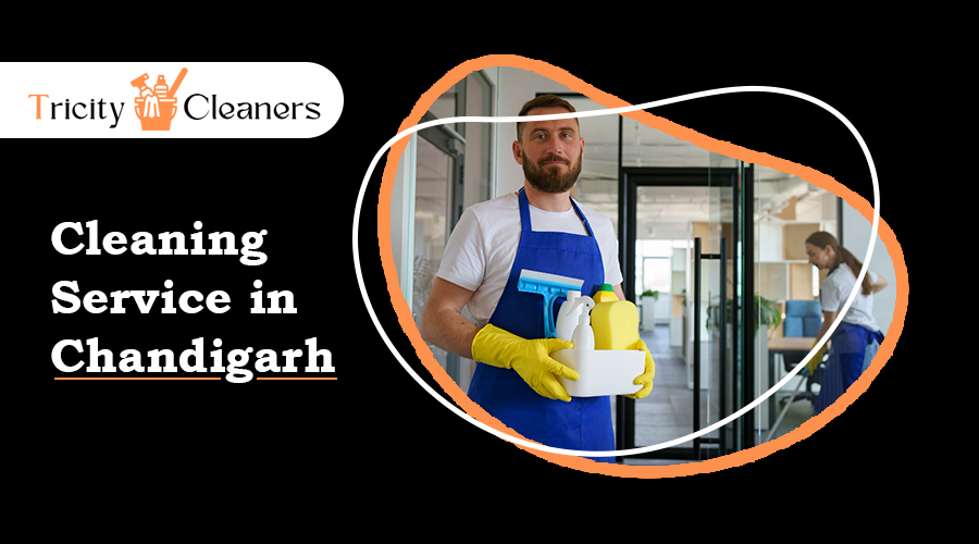 cleaning services chandigarh