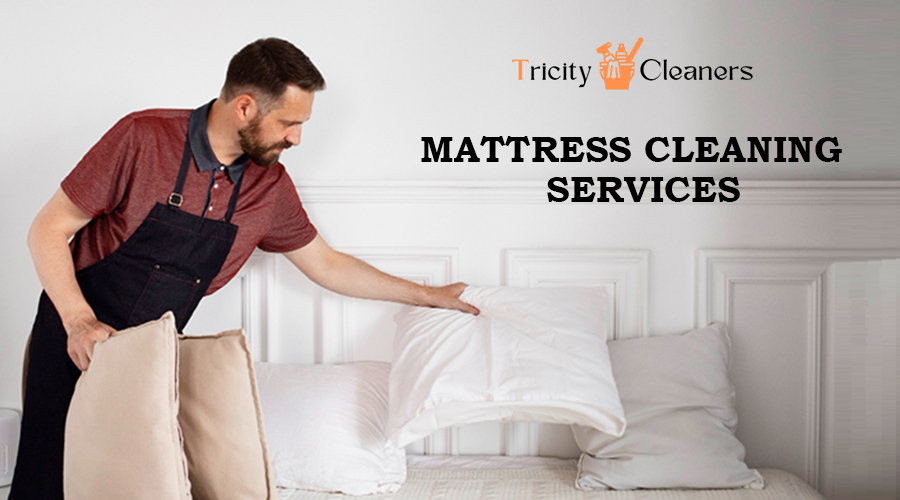 Mattress Cleaning Services