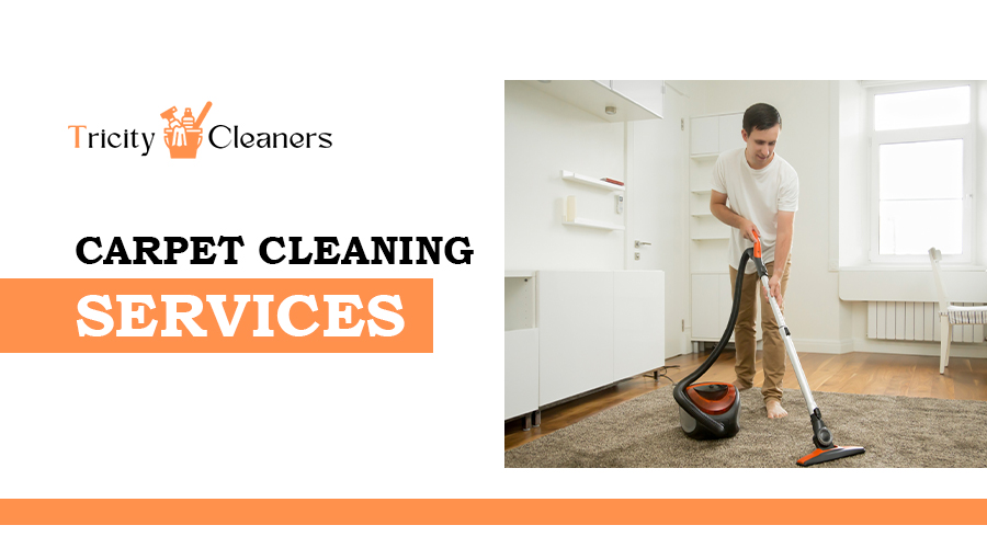 Carpet Cleaning Service