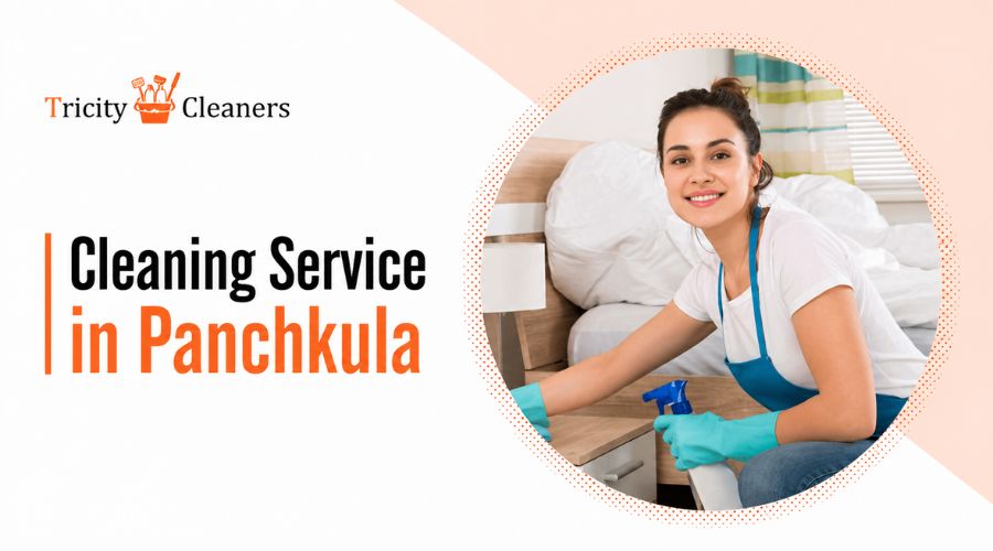Cleaning services in Panchkula