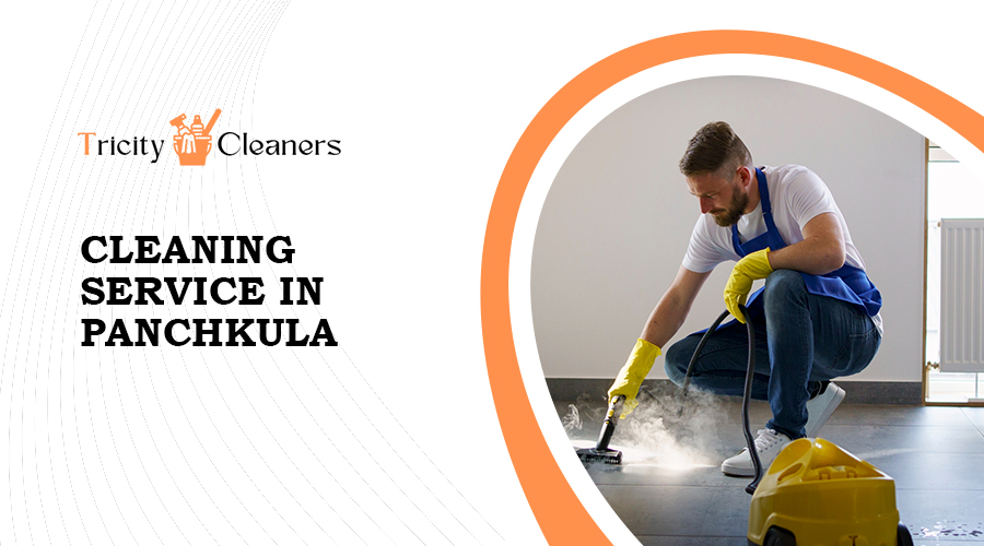 cleaning service in Panc