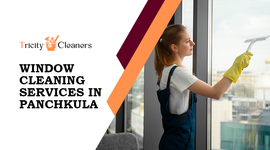 window cleaning services in Panchkula