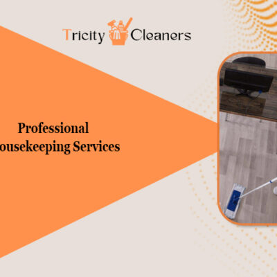 professional housekeeping services