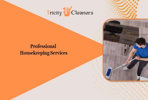 professional housekeeping services