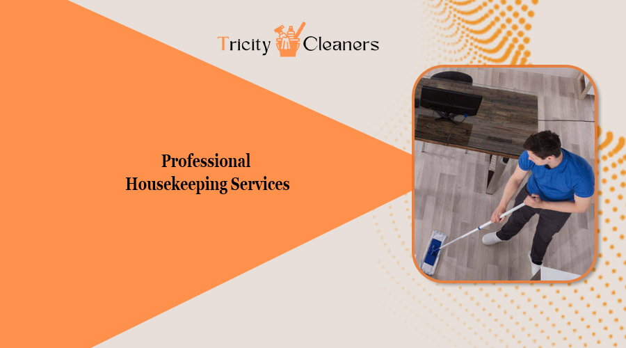 professional housekeeping services
