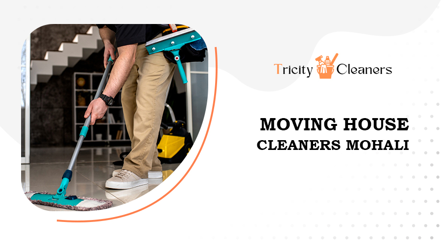 moving house cleaners mohal