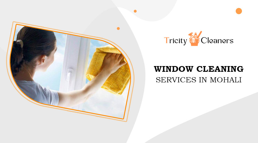 window cleaning services in mohali
