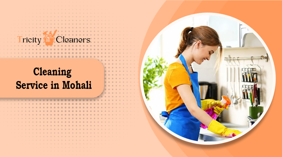 cleaning service in Mohali,