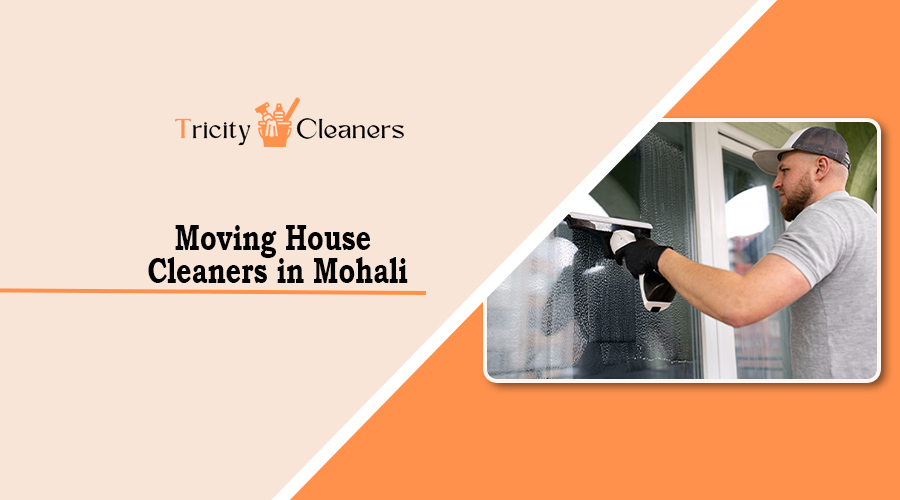 moving house cleaners in Mohali.