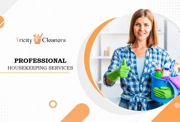 Professional Housekeeping Services