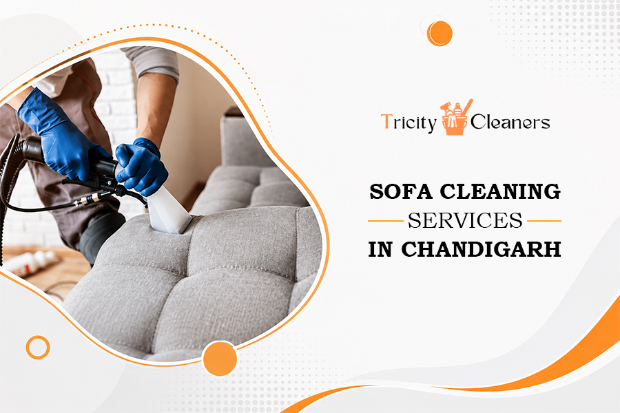 sofa cleaning services in Chandigarh