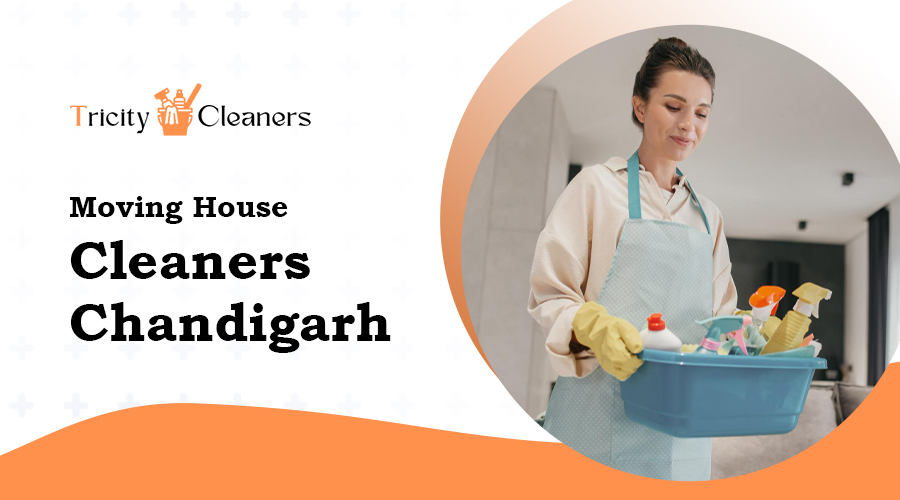 Moving House Cleaners