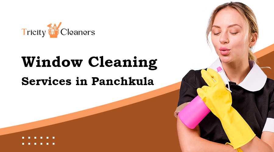 Window Cleaning Services In Panchkula